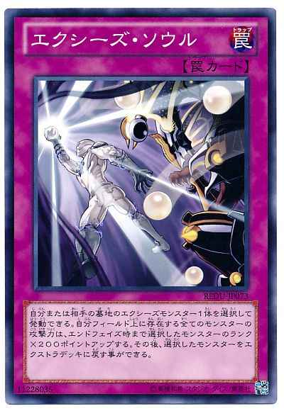 エクシーズ・ソウル