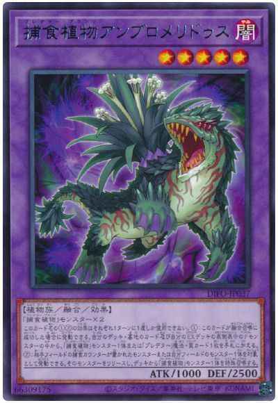 捕食植物アンブロメリドゥス