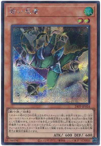 若い忍者