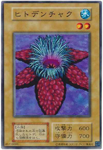 ヒトデンチャク