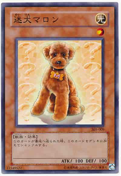 迷犬マロン