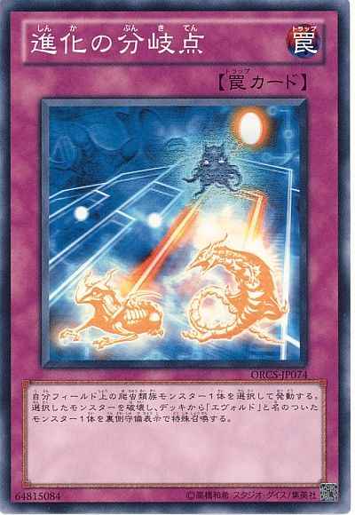 進化の分岐点